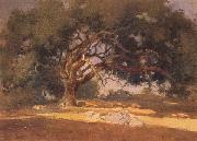 unknow artist Oak Canopy painting